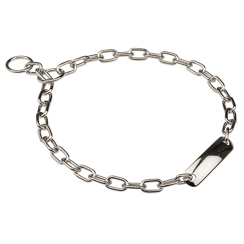 Chain dog collar with ID plate