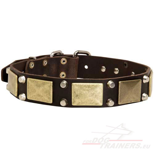 Lederen Honden Halsband