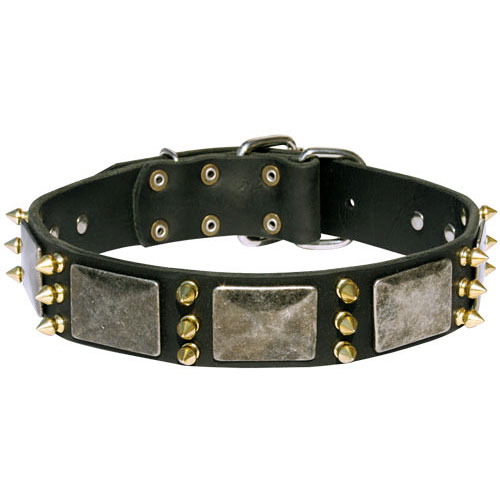 Top Kwaliteit
Honden Halsband