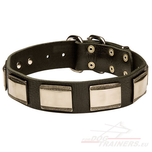 Luxury Dog Collar with Decorative Plates - Click Image to Close