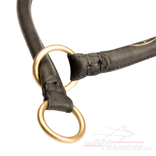 Training Collar Leather