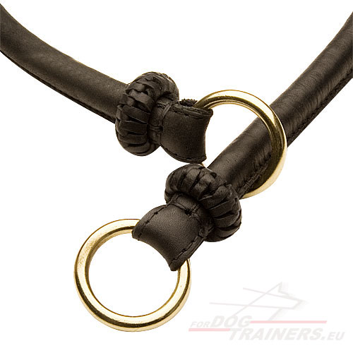 Collar de Cuero para Perro Agresivo