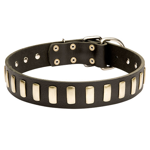 Leather Dog Collar Stylish | Studded Collar Exclusive - Click Image to Close
