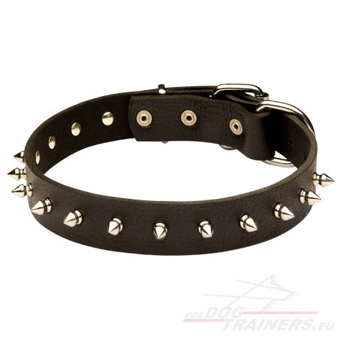 Designer Dog Collar Beautiful, Spiked Collar for Dogs - Click Image to Close