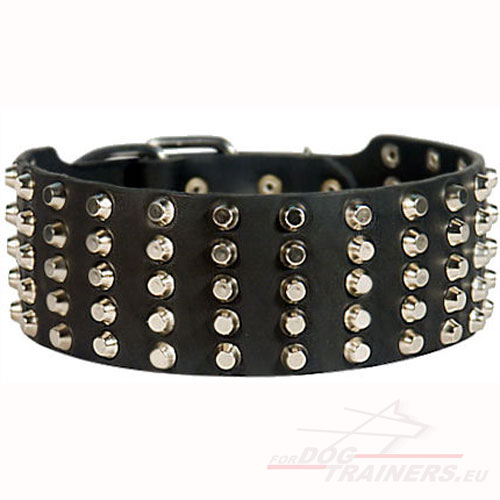 Top Kwaliteit Halsband