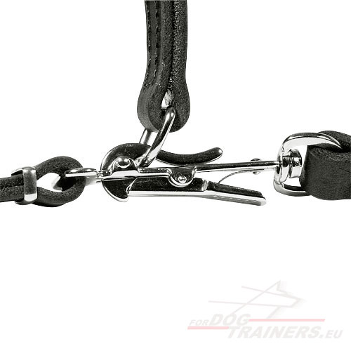 Dog Leash and Collar Leather 