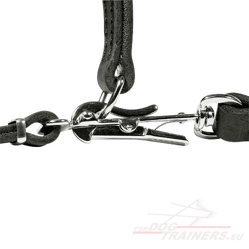 Hunde Halsband Leder + Hundeleine 