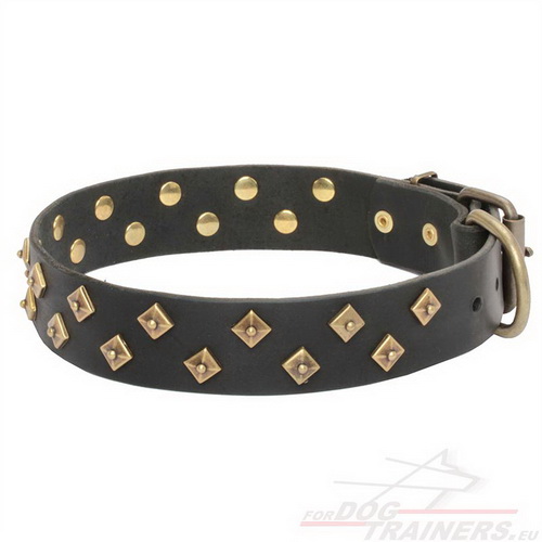 Leather Dog Collar High Fashion ◆ - Click Image to Close