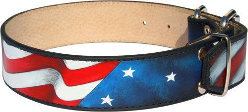 Halsband met Amerikaanse Vlag