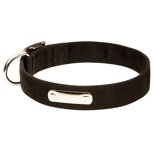 Dog Collar Nylon with ID Tag - Click Image to Close