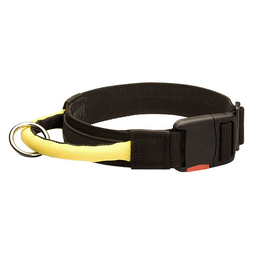 Nylon Halsband voor Gehoorzaamheids Training