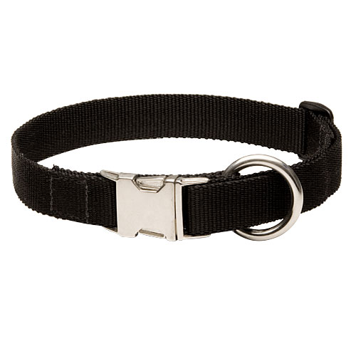 Nylon Honden Halsband met Gesp