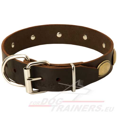 Hundehalsband Leder mit Vintage Platten