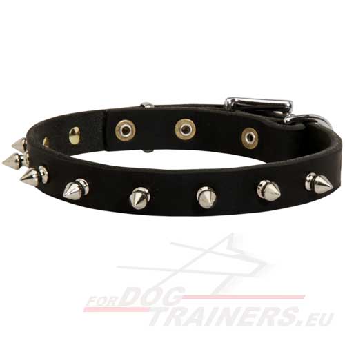 Geklonken Lederen Honden Halsband