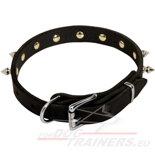 Leather Dog Collar with Spikes