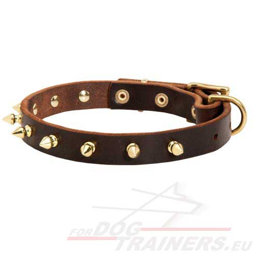 Leather Dog Collar with Bronze Spikes - Click Image to Close