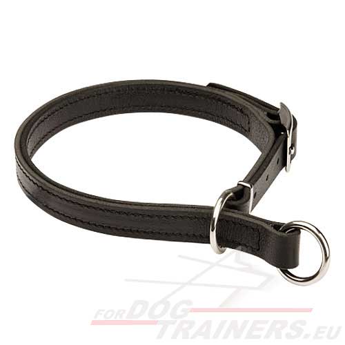 Collier en cuir solide  deux couches pour chien agressif