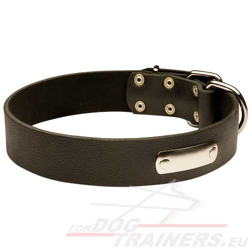 Dog Collar Excellent Leather for Identification ⓘⓓ - Click Image to Close