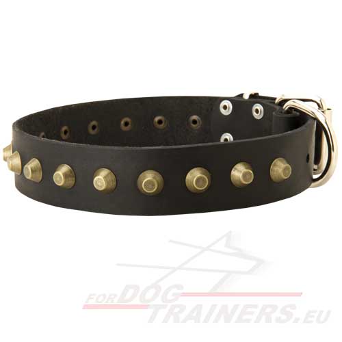 Lederen Honden Halsband met Decoratie