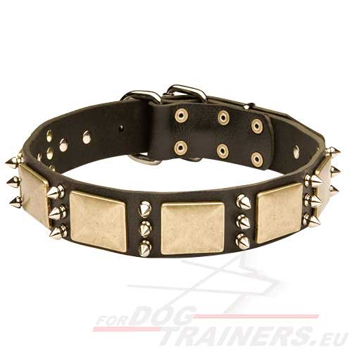 Spikes en Platen Halsband