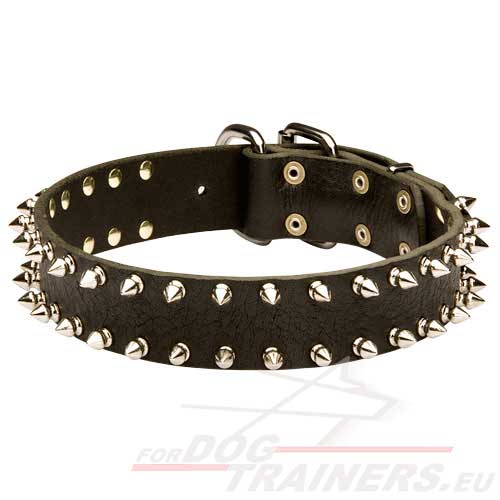 Lederen Halsband met Spikes