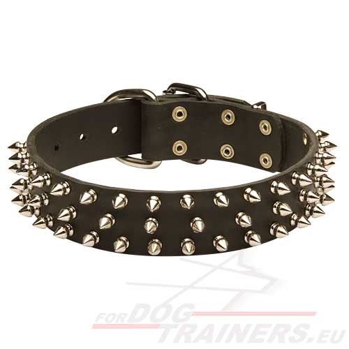 Uitstekende Spikes Halsband voor uw Hond