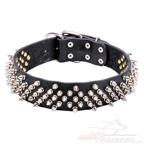 Leather Dog Collar with Brilliant Spikes ↟ - Click Image to Close