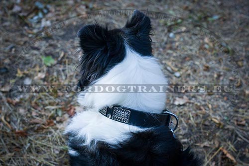 Leather Dog Accessory with Vintage Plates for Collie - Click Image to Close