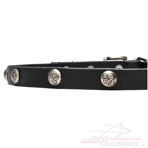 Perfect Fit Leather Collar with "Summer" Studs - Click Image to Close