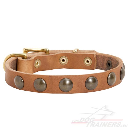 Leather Collar Exclusive with Decorative Bronze Plates ⓑ - Click Image to Close