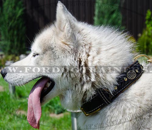 Siberian Husky Handmade Braided Collar ⚛ - Click Image to Close