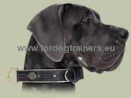 Exclusive Nappa Padded Handmade Leather Dog Collar, Great Dane - Click Image to Close