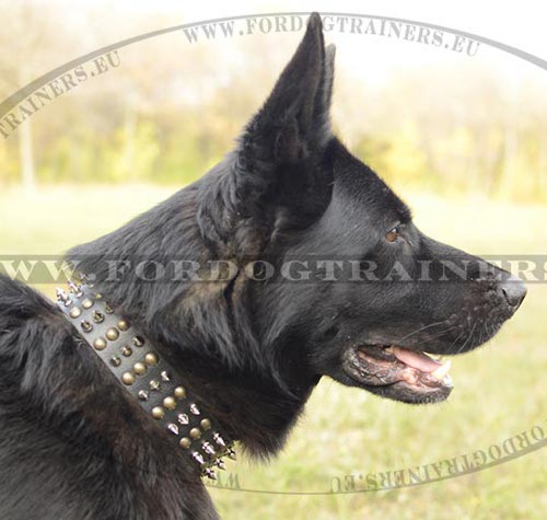 German Shepherd Leather Collar with Decorative Spikes and Studs - Click Image to Close