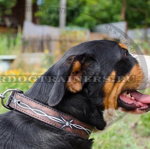 Leather Dog Collar with Design of Barbed Wire - Click Image to Close