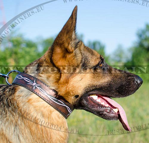 Leather Dog Collar Barbed Wire Design for GSD ⚡ - Click Image to Close