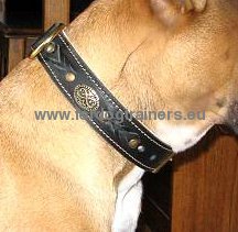 Bullmastiff Braided Handmade Leather Dog Collar ◒ - Click Image to Close