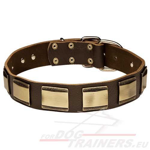 Dog Leather Collar Wide with Decorative Plates - Click Image to Close