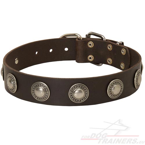 Dog Leather Collar with Embossed Plates - Click Image to Close