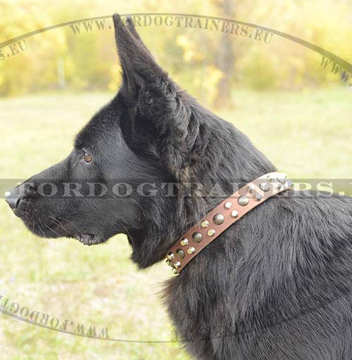 German Shepherd Studded Dog Collar ◆ - Click Image to Close