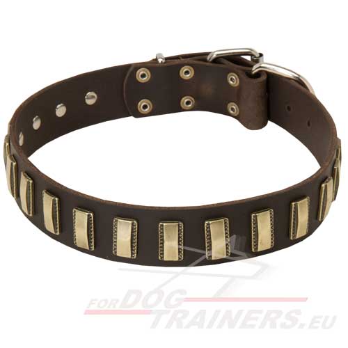 Luxury dog collar with the best metal decorations! - Click Image to Close