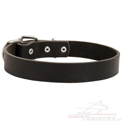 Leather dog collar 3cm width - Click Image to Close