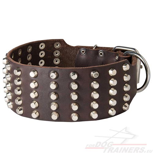 Wide Dog Collar with Small Pyramids - Click Image to Close