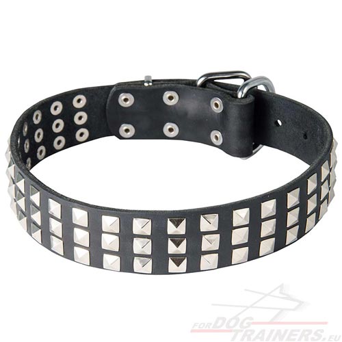 Dog Leather Collar with Chromed Pyramids - Click Image to Close