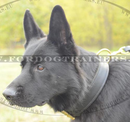 Agitation Dog Collar Extra Comfort for German Shepherd - Click Image to Close