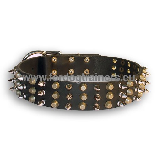 Great Dane Leather Dog Collar With Pyramids and Spikes - Click Image to Close
