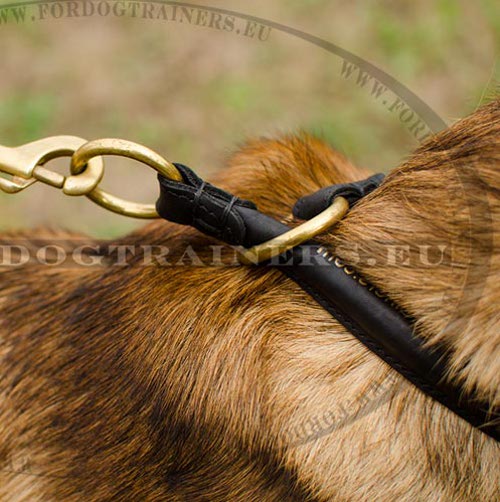 Choke Dog Collar Round | Training Collar Leather - Click Image to Close