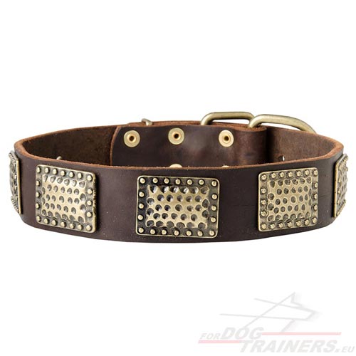 Gorgeous War Dog Leather Dog Collar - Click Image to Close
