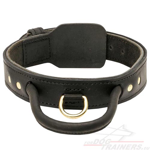 Leather dog collar with handle for Labrador - Click Image to Close