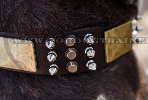 Pitbull Collar Exclusive with Spikes, Pyramids and Plates - Click Image to Close