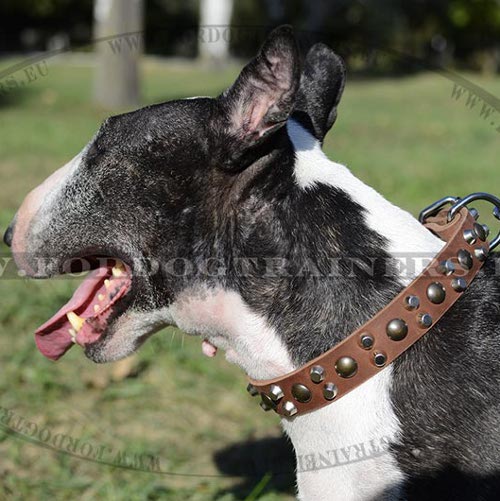 Studded Dog Collar with "Nuts" Design Pyramids, Best Leather - Click Image to Close